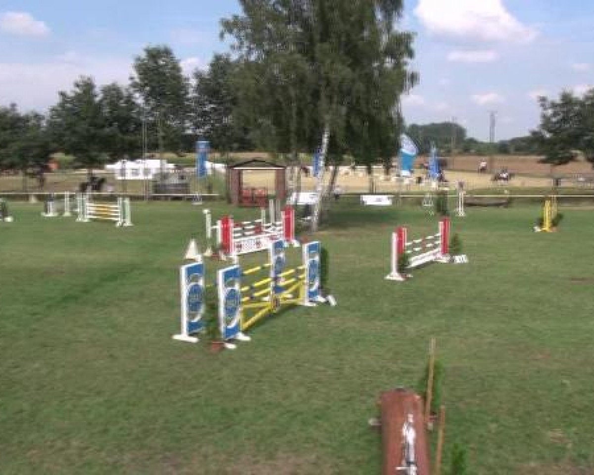 jumper Prolet H (German Warmblood, 2006, from Pilotus)