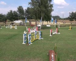 jumper Prolet H (German Warmblood, 2006, from Pilotus)