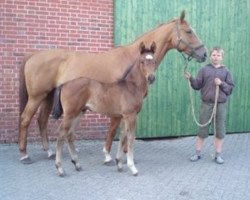 broodmare Wyana (Hanoverian, 1998, from Weltmeyer)