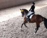 dressage horse Roderiga (Westphalian, 2006, from Riccio)