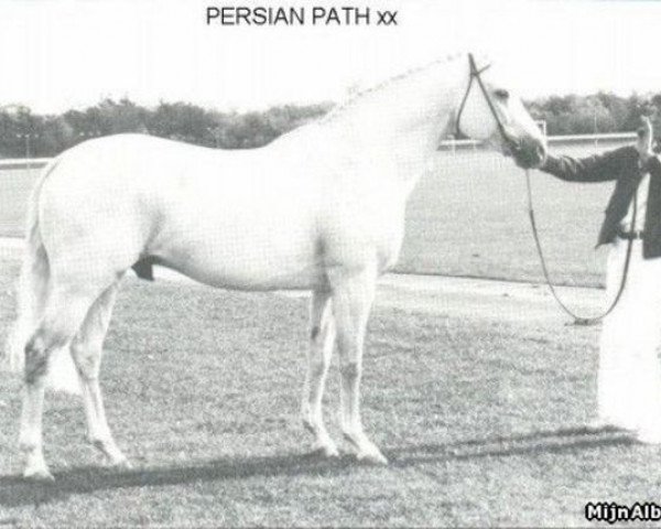 stallion Persian Path S xx (Thoroughbred, 1966, from Sovereign Path xx)