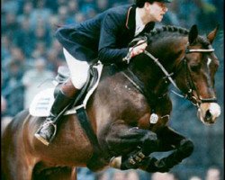 Deckhengst Gentleman (KWPN (Niederländisches Warmblut), 1988, von Boreas)