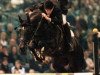 stallion Laroche (Royal Warmblood Studbook of the Netherlands (KWPN), 1993, from Concorde)