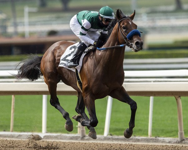 horse Flightline xx (Thoroughbred, 2018, from Tapit xx)