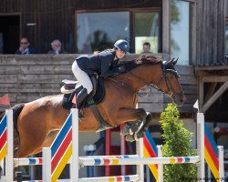 jumper Deusser (Oldenburg show jumper, 2015, from Dieu-Merci van T&L)