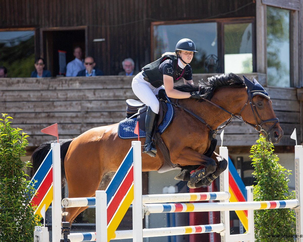 jumper Filiz (KWPN (Royal Dutch Sporthorse), 2010, from Eldorado van de Zeshoek)