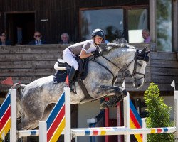 jumper Joceline 3 (Hanoverian, 2016, from Grey Top)