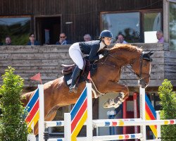 jumper Kryptonite HX (Swedish Warmblood, 2015, from Balpar de Trebox Z)