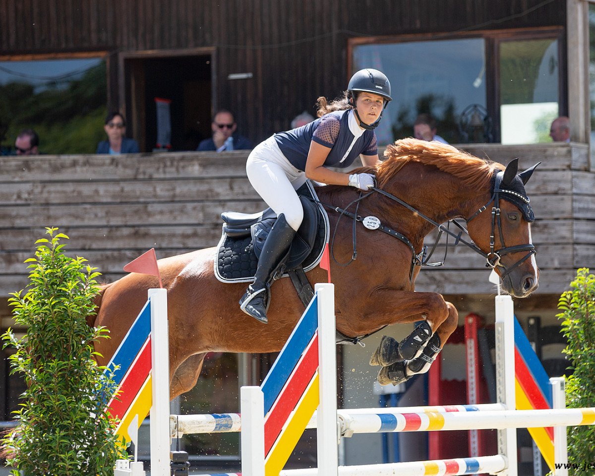 broodmare Fearless (KWPN (Royal Dutch Sporthorse), 2010, from Tangelo van de Zuuthoeve)