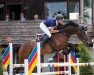 jumper Luigi 293 (Holsteiner, 2016, from Lovelight 3)