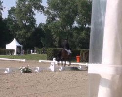 dressage horse Del Pijero (Westphalian, 2007, from Dancing Dynamite)