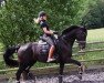 dressage horse Figlia (Oldenburg, 2008, from Florencio I)