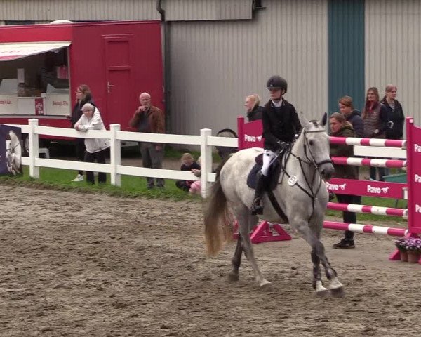 Springturnier Mildstedt 2021
