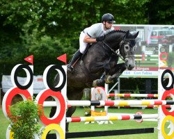 jumper Con Fabio (Hanoverian, 2016, from Cornets Iberio)