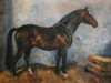 stallion Ricardo (Westphalian, 1974, from Renaldo)