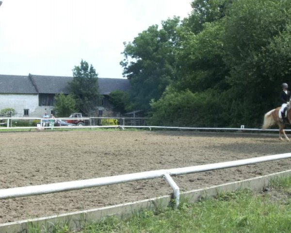 Reitturnier St. Pölten 2022
