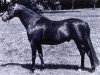 horse Downland Mohawk (Welsh-Pony (Section B), 1969, from Downland Romance)