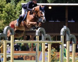 Springpferd Maserati von Orti (Belgisches Warmblut, 2012, von Emerald van 't Ruytershof)