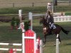 jumper Quidam's Clay (Oldenburg show jumper, 2007, from Quidam de Revel)