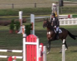 jumper Quidam's Clay (Oldenburg show jumper, 2007, from Quidam de Revel)