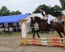 dressage horse Malika Sheba (German Warmblood, 2008, from Unbekannt)