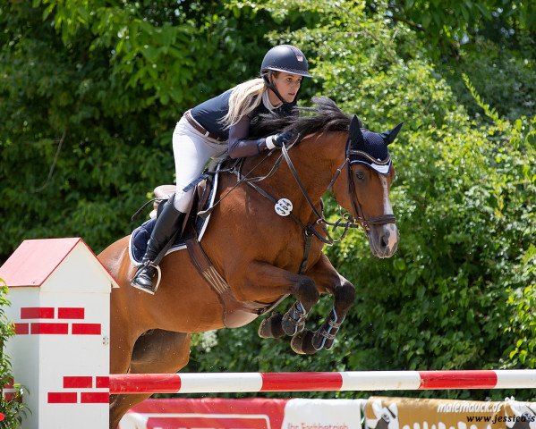jumper Lisbeth 28 (German Sport Horse, 2015, from Larcon)