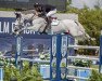 jumper Kardenta van 't Meerhof (Belgian Warmblood, 2010, from VDL Cardento 933)