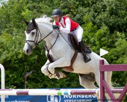 jumper Berlin's Florentina (Zangersheide riding horse, 2012, from Caspar (Berlin))