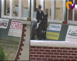 jumper Elvredo (Hanoverian, 2001, from Escudo I)