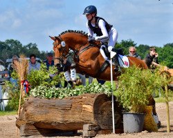 jumper Dagalier (German Riding Pony, 2010, from Dagestino)