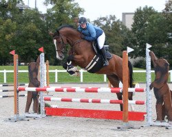 Springpferd Cartano TZ (Schweizer Warmblut, 2011, von Cola 10)