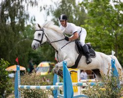 jumper Coccopeli (Hanoverian, 2009, from Cockpit)