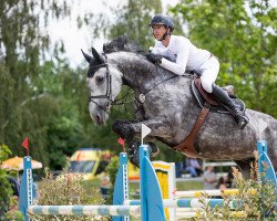 jumper Pink Floyd van het Blauwhof (Belgian Warmblood, 2015, from Vigo d'Arsouilles)