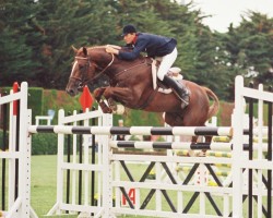 stallion Le Tot de Semilly (Selle Français, 1977, from Grand Veneur)