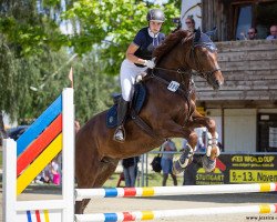 jumper Moulin Rouge 22 (Swedish Warmblood, 2017, from Douglas)