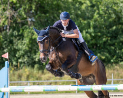 Springpferd L'Jay (Deutsches Sportpferd, 2015, von Landrebell)