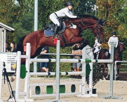 jumper Jeronimo van't Klavertje Vier (Belgian Warmblood, 2009, from Bentley van de Heffinck)