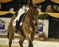 dressage horse First Class 53 (Rhinelander, 1999, from Florestan I)