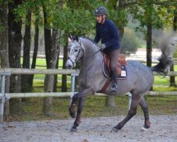 jumper Batman d'Été (French Pony, 2011, from Clinton I)