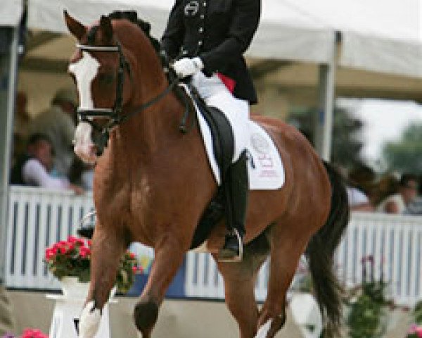 dressage horse Wizard Banamex (Danish Warmblood, 2002, from Kermo's White Talisman)