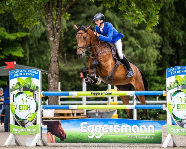 jumper Sowieso 9 (Zangersheide riding horse, 2016, from Diamant de Semilly)