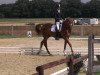 dressage horse Wega Waluka (Westphalian, 2002, from World Magic)