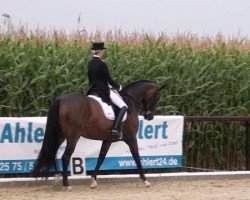 dressage horse Loriot 347 (Bavarian, 1996, from Rubinstein I)