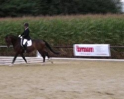 dressage horse Zaouira (Oldenburg, 2008, from Zack)