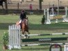 jumper Lasceur (Hanoverian, 2007, from Lissabon 29)