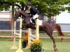 dressage horse Kaiserstuhl (German Riding Pony, 2008, from Krazy King)