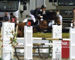 broodmare Friedrichshof Komtesse II (German Riding Pony, 2004, from Kaiserwinner)