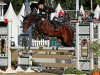 dressage horse Alizee 14 (German Riding Pony, 2007, from Giorgio N)