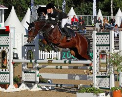 dressage horse Alizee 14 (German Riding Pony, 2007, from Giorgio N)