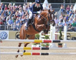 jumper Friedrichshof Dark Dream (German Riding Pony, 2006, from D'Agostino)